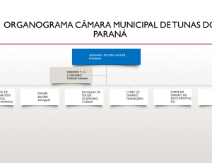 organograma-camara-municipal-de-tunas-do-parana.png